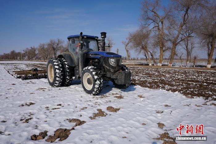 无码人妻少妇色欲AV一区二区