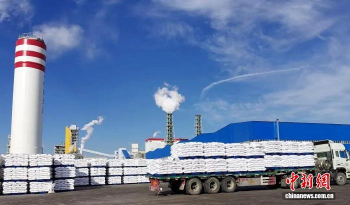 无码人妻少妇色欲AV一区二区