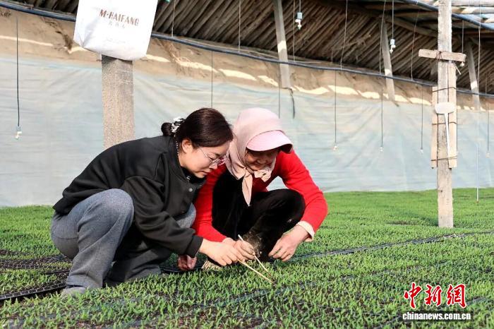 无码人妻少妇色欲AV一区二区