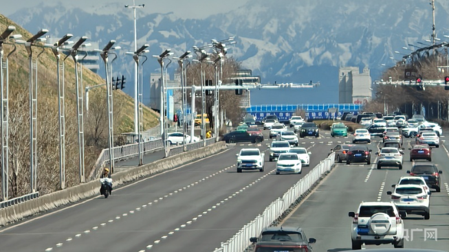 无码人妻少妇色欲AV一区二区