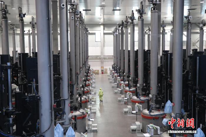 无码人妻少妇色欲AV一区二区