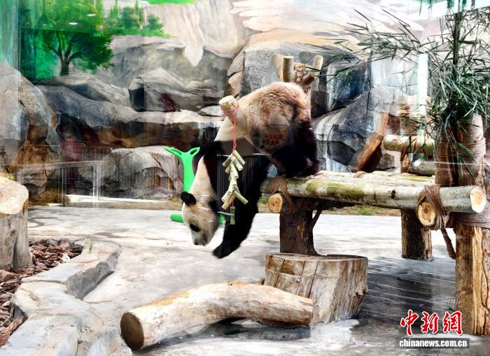 无码人妻少妇色欲AV一区二区