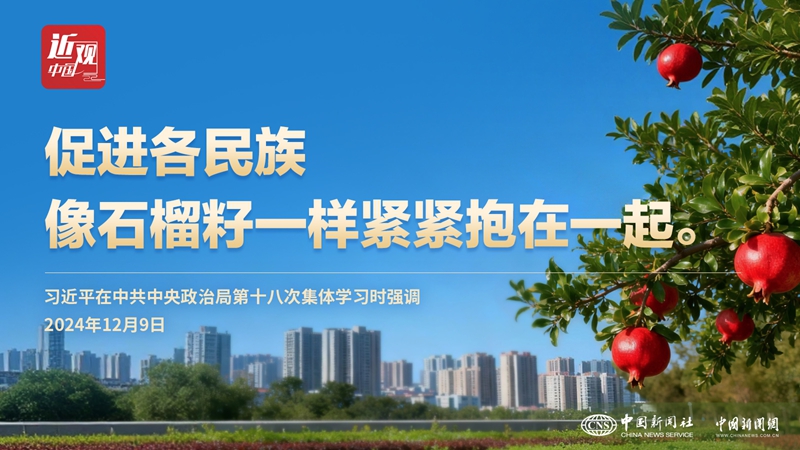 无码人妻少妇色欲AV一区二区