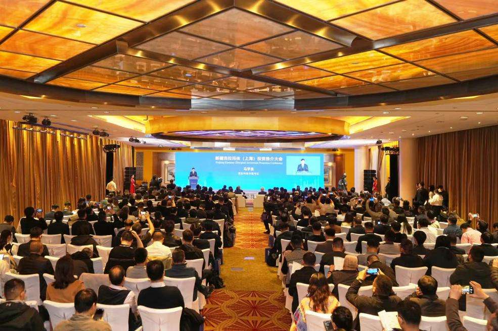 无码人妻少妇色欲AV一区二区