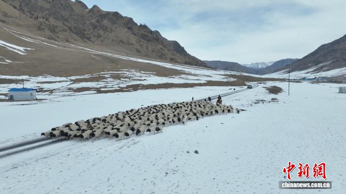 无码人妻少妇色欲AV一区二区