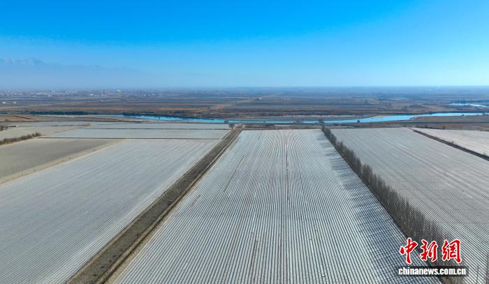 无码人妻少妇色欲AV一区二区