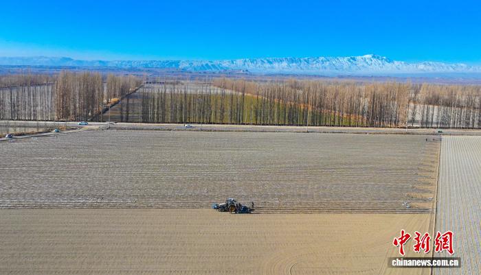 无码人妻少妇色欲AV一区二区