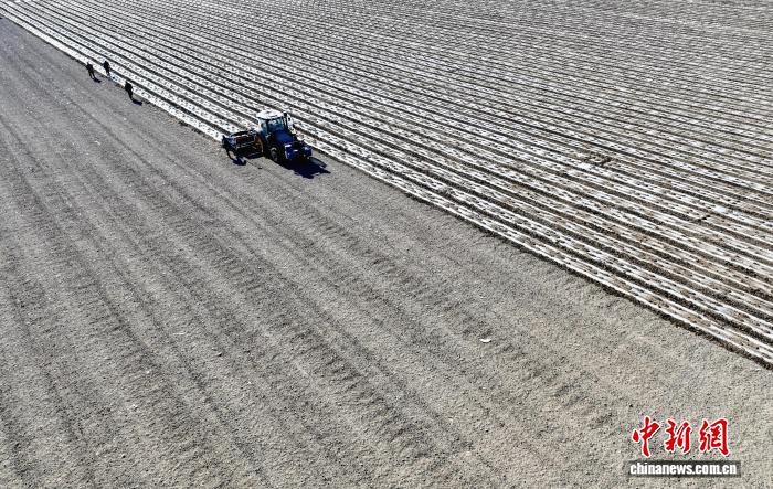 无码人妻少妇色欲AV一区二区