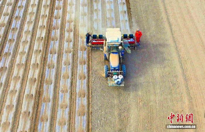 无码人妻少妇色欲AV一区二区