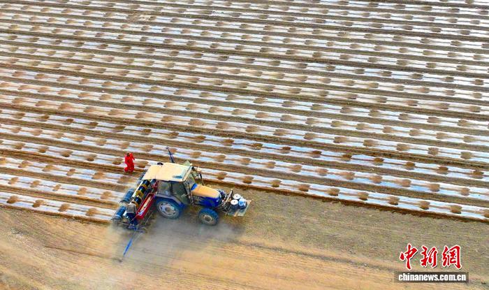 无码人妻少妇色欲AV一区二区