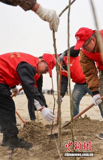 无码人妻少妇色欲AV一区二区