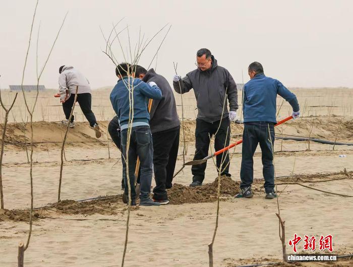 无码人妻少妇色欲AV一区二区