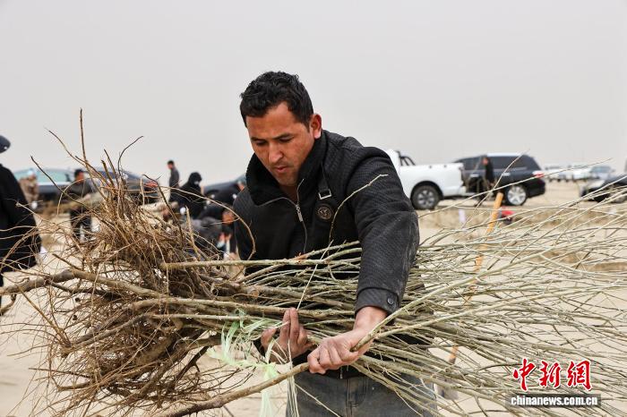 无码人妻少妇色欲AV一区二区