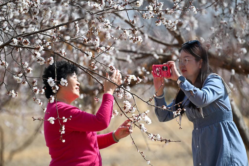 无码人妻少妇色欲AV一区二区