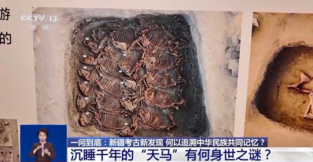 无码人妻少妇色欲AV一区二区