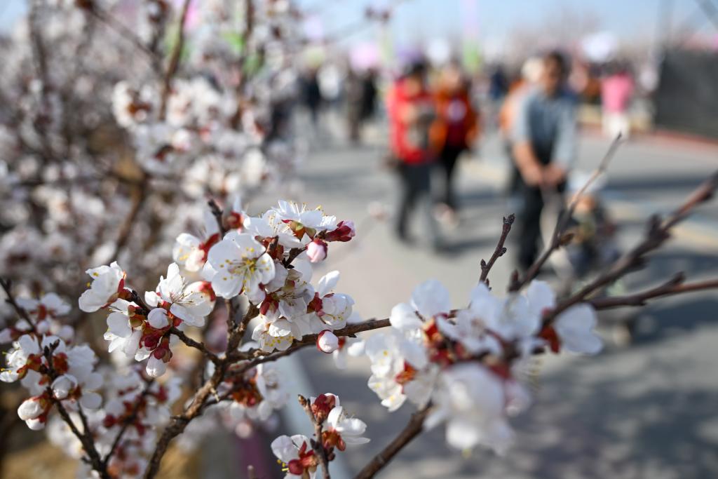 无码人妻少妇色欲AV一区二区