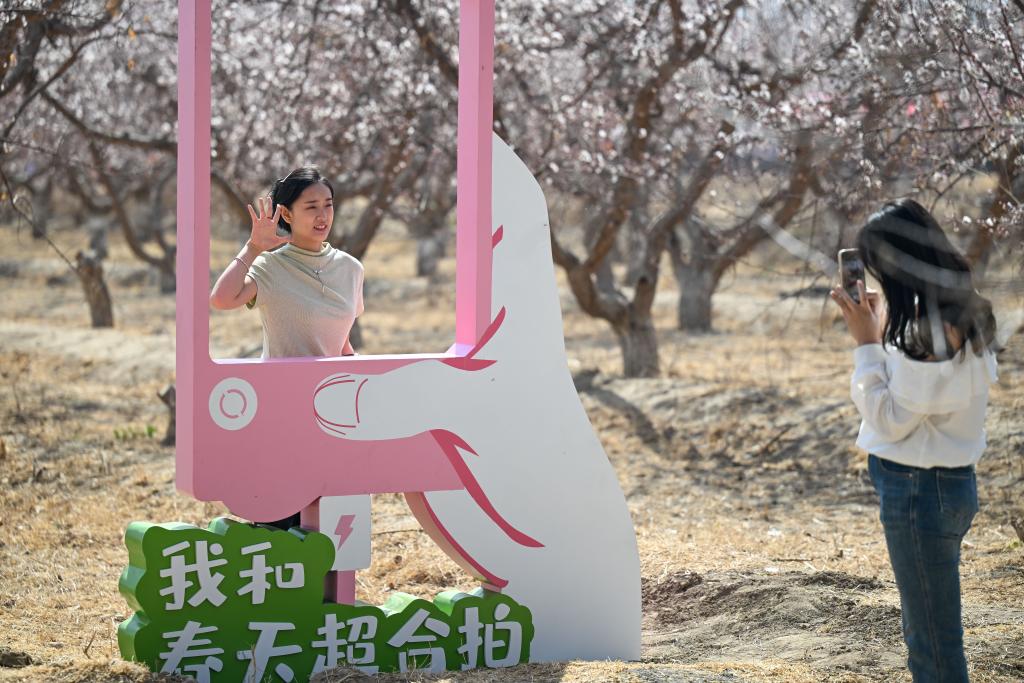 无码人妻少妇色欲AV一区二区