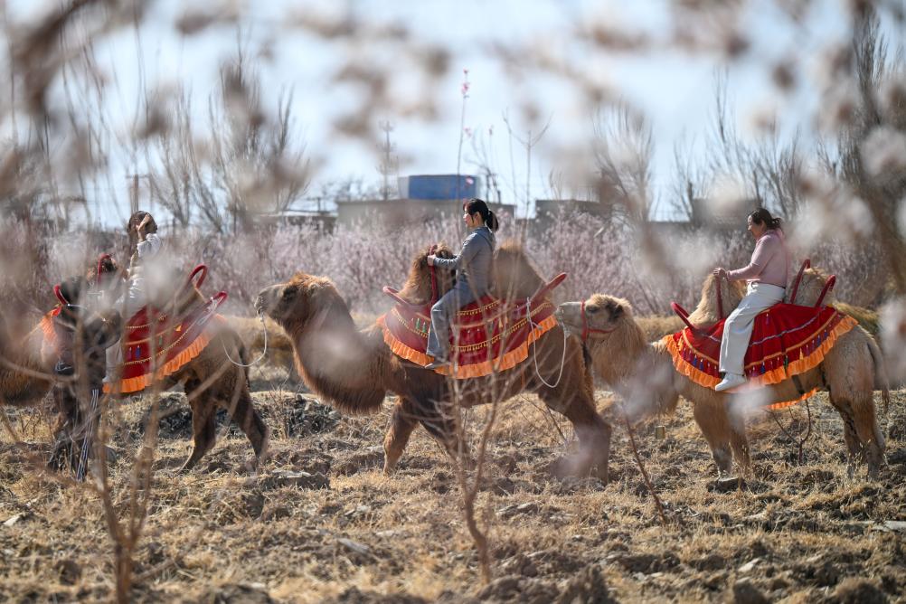 无码人妻少妇色欲AV一区二区