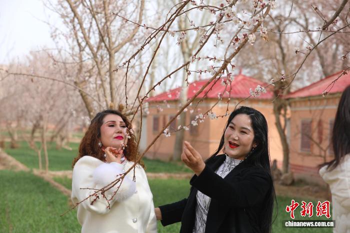 无码人妻少妇色欲AV一区二区