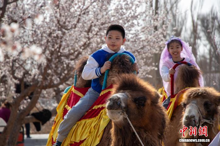 无码人妻少妇色欲AV一区二区