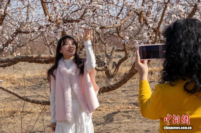 无码人妻少妇色欲AV一区二区