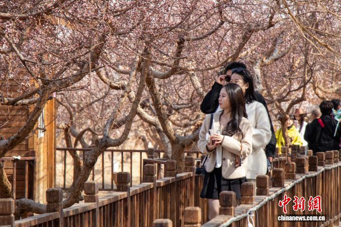 无码人妻少妇色欲AV一区二区