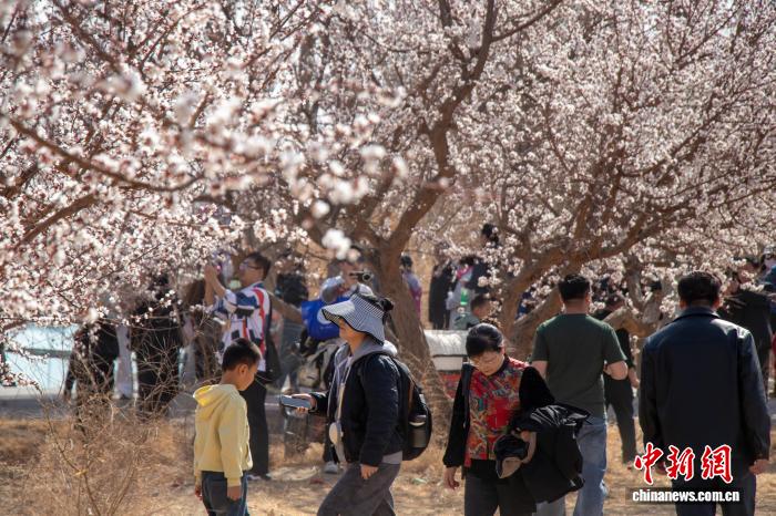 无码人妻少妇色欲AV一区二区