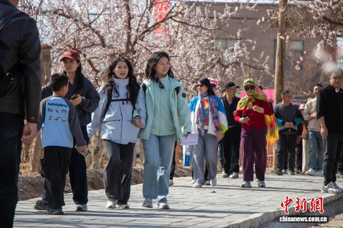 无码人妻少妇色欲AV一区二区