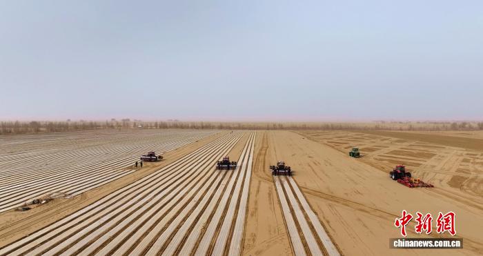 无码人妻少妇色欲AV一区二区