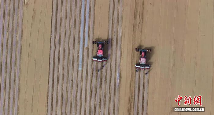 无码人妻少妇色欲AV一区二区