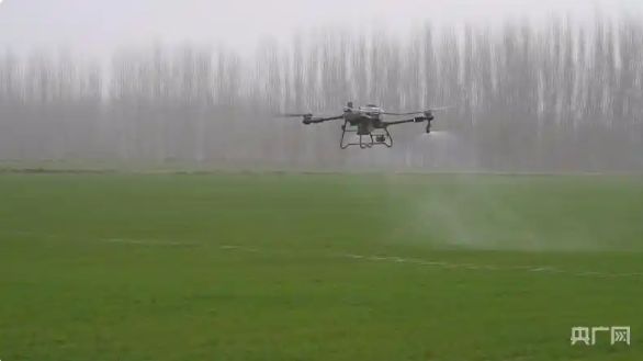 无码人妻少妇色欲AV一区二区