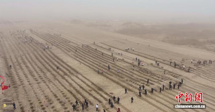 无码人妻少妇色欲AV一区二区