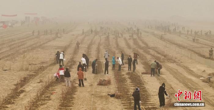 无码人妻少妇色欲AV一区二区