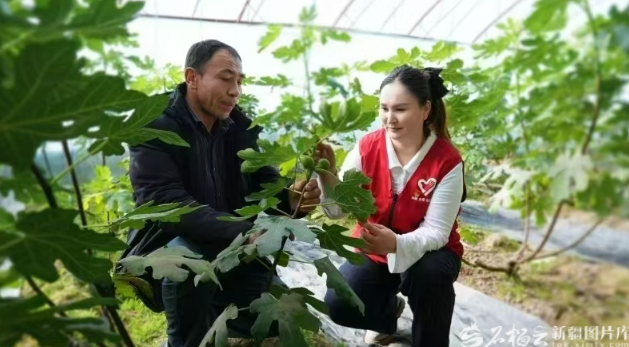 无码人妻少妇色欲AV一区二区