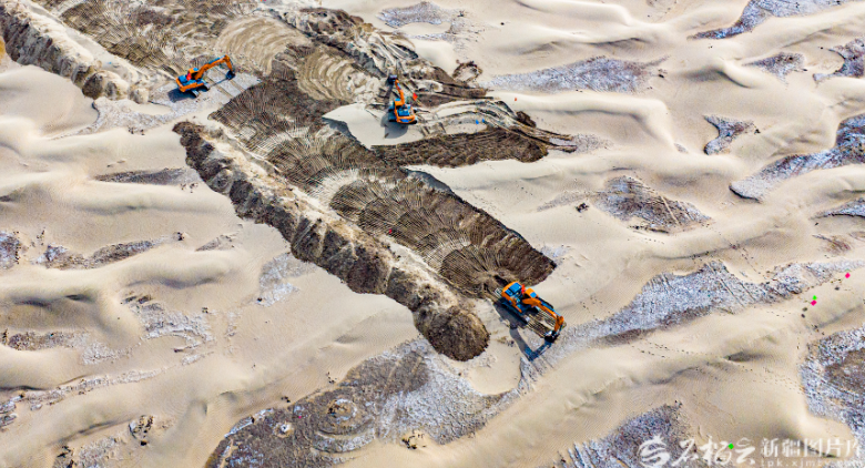 无码人妻少妇色欲AV一区二区