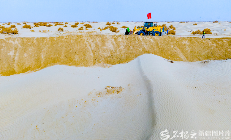 无码人妻少妇色欲AV一区二区