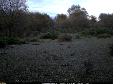 无码人妻少妇色欲AV一区二区