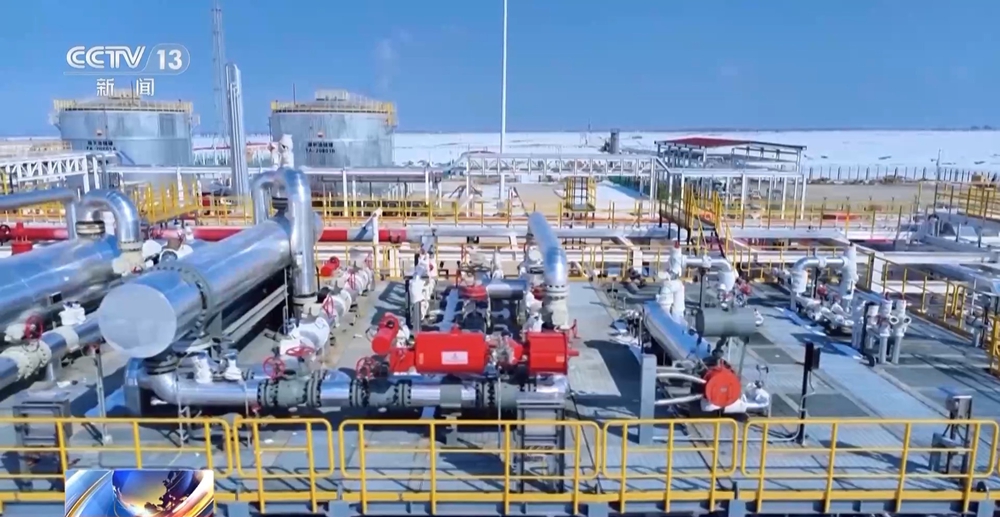 无码人妻少妇色欲AV一区二区