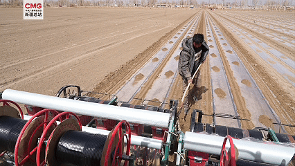 无码人妻少妇色欲AV一区二区
