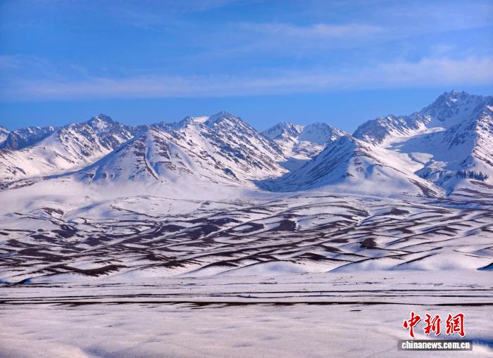 无码人妻少妇色欲AV一区二区