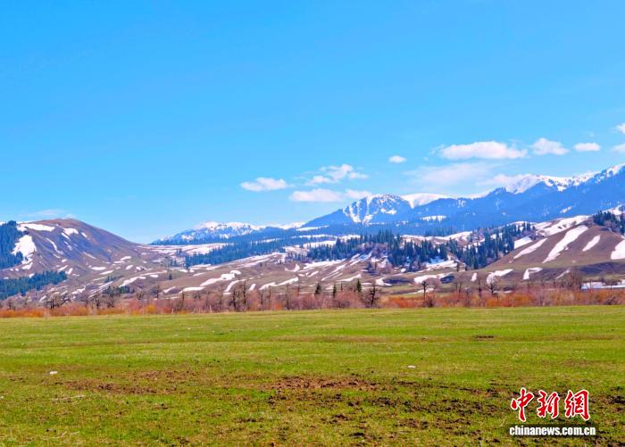 无码人妻少妇色欲AV一区二区