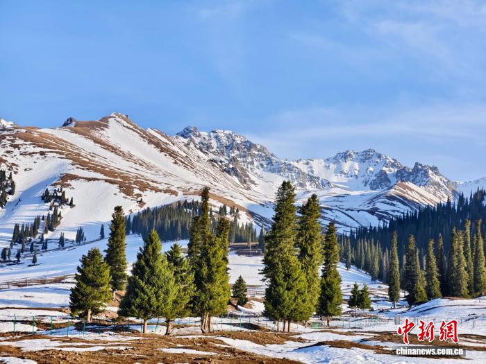 无码人妻少妇色欲AV一区二区