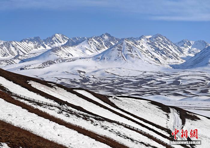 无码人妻少妇色欲AV一区二区
