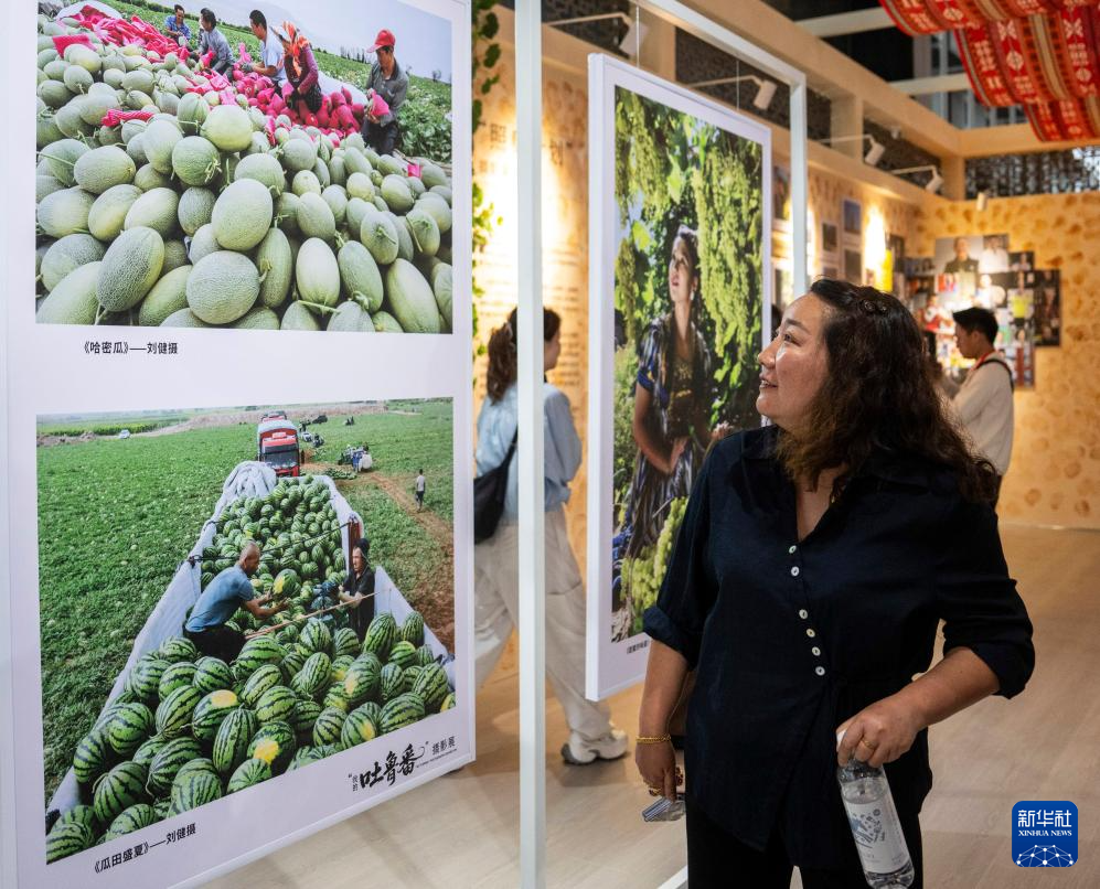 无码人妻少妇色欲AV一区二区