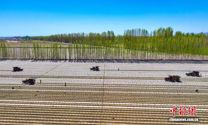 无码人妻少妇色欲AV一区二区