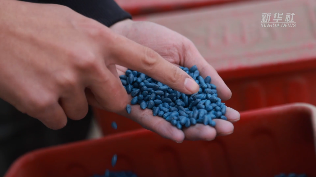 无码人妻少妇色欲AV一区二区