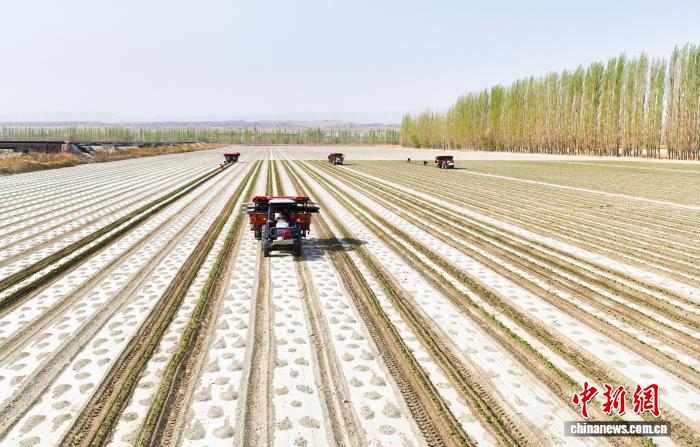 无码人妻少妇色欲AV一区二区