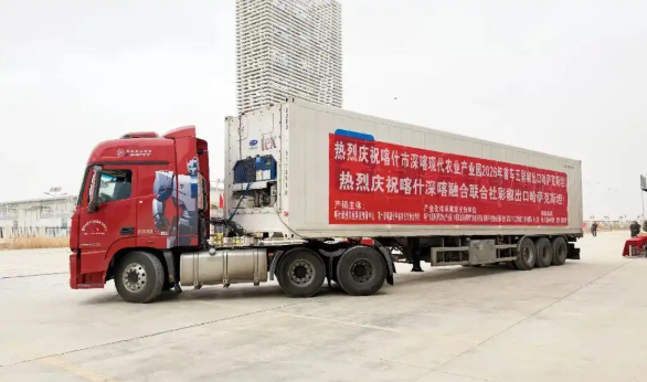 无码人妻少妇色欲AV一区二区