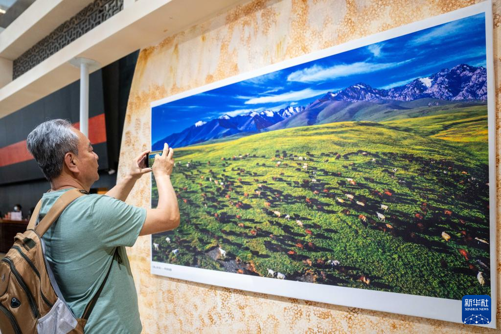 无码人妻少妇色欲AV一区二区