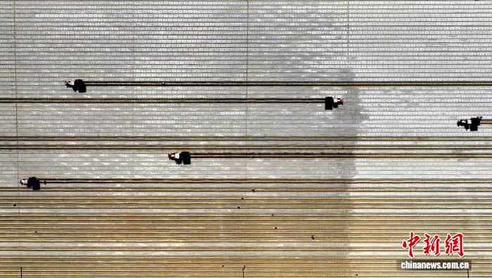 无码人妻少妇色欲AV一区二区